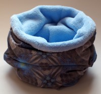 /album/a49/p1010184-large-jpg/